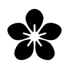 Sakura Blossom