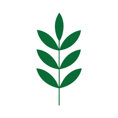 Abstract Organic Hanukkah Shape