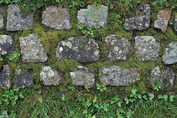 Fototapeta premium Stone Wall Covered in Lush Greenery and Moss