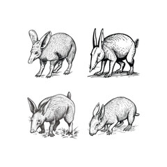 Aardvark hand drawn engraving design vector template illustration