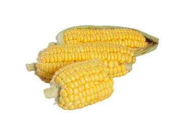 Three corn cobs isolated on transparent background