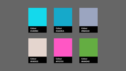 Vector color palette featuring six vibrant swatches. Ideal for design projects