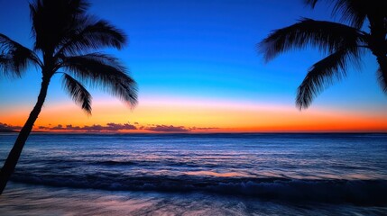 Tropical sunset beach palm silhouette ocean waves paradise vacation