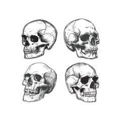 Set of skull hand drawn design vector template