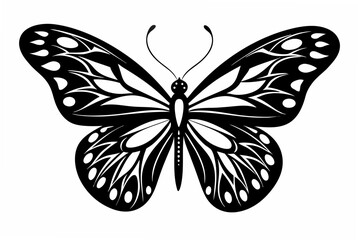 butterfly stencil  silhouette illustration