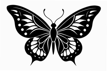 butterfly stencil  silhouette illustration