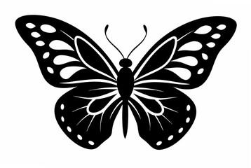 butterfly stencil  silhouette illustration