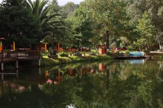 Bosque del Zembo, Huasca de Ocampo, Hidalgo