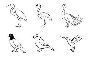 A set of various types of birds