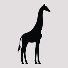 Fototapeta premium giraffe vector