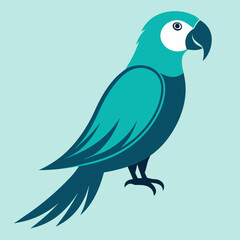 bird parrot Shilouette vector
