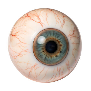 Naklejki eye isolated