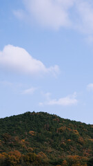 hill with forest and blue sky with cloud
