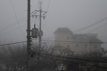 ominous cold fog on a lifeless morning