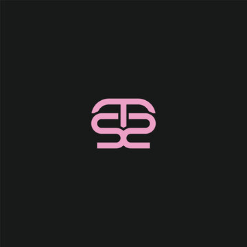 TS logo brand identity