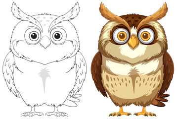 Owl Illustration with Outline and Color