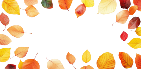 n arrangement of autumn leaves in various shades of yellow. orange. and red. set against a clean white background the leaves are scattered around the edges. creating a natural frame that emphasizes th