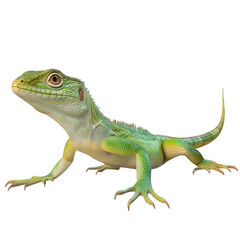 Fototapeta premium a vibrant green lizard with a detailed texture. showcasing its unique features like large eyes and distinct coloration the lizard is posed in a dynamic stance. emphasizing its agility and natural beau