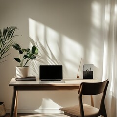 Sunlit home office desk, laptop, plant, minimal