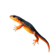 Naklejka premium Orange and Black Salamander: A close-up of a vibrant orange and black salamander, perched on a white background, showcasing its unique markings and delicate features. 