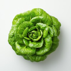 Obraz premium Close-up of a vibrant green lettuce, forming a beautiful rosette. Fresh, healthy, and perfect for salads or as a culinary ingredient.