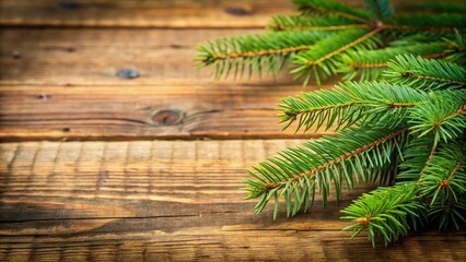 Naklejka premium Spruce branch on a wooden background, wooden table, outdoor photography