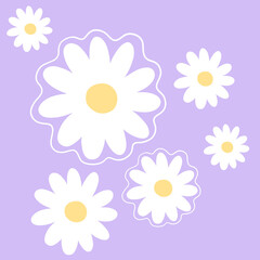 Daisy flower seamless background