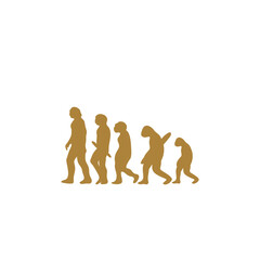 Human Evolution Illustration
