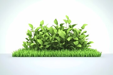 Lush Green Plant and Grass Arrangement on a Bright Background