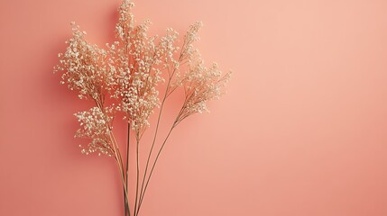 Obraz premium Dried Flowers Arranged Against a Peach Background
