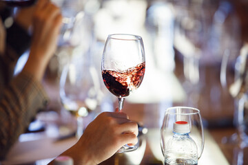 Person Holding Wine Glass With Red Wine