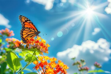 Beautiful image in nature of monarch butterfly on lantana flower on bright sunny day.