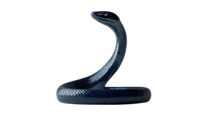 Fototapeta premium Majestic Blue Snake in a Striking Upright Position Showcasing Its Sleek Scaliness and Intriguing Prowess, Capturing the Essence of Nature’s Serpentine Beauty