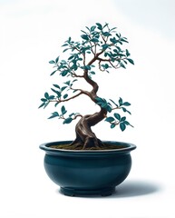 bonsai tree in pot against white background