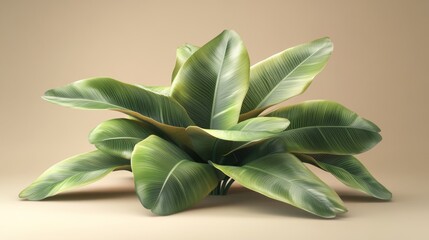 Tropical Paradise - Vibrant 3D Tropical Leaves Design with Copy Space for Campaign Messages
