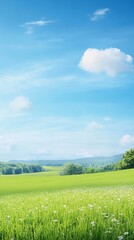 Obraz premium Serene Green Landscape Under Bright Blue Sky with Fluffy White Clouds and Tranquility