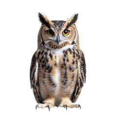Fototapeta premium majestic owl with striking golden eyes and intricate feather patterns. standing upright against a white background its prominent ear tufts and regal posture highlight its status as a powerful nocturna