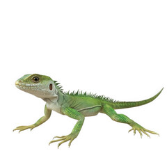 Fototapeta premium a realistic 3d rendering of a green lizard. showcasing its detailed features such as textured skin. elongated body. and distinct coloration the lizard is positioned on a plain background. emphasizing