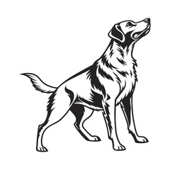 Fototapeta premium Powerful Hunting Dog Silhouette, Black and White Illustration