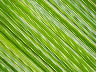 Fototapeta premium Abstract Green Stripes of Blades of Grass with Motion and Light Reflection Effects