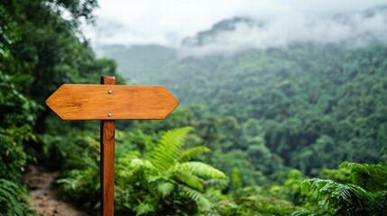 Simple Wooden Directional Signpost Among Lush Green Forest Landscape with Misty Mountains