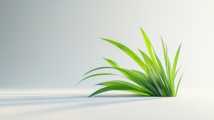 Fototapeta premium Studio-lit green grass blades on white background