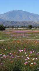 A vibrant field of flowers in front of a majestic mountain landscape.