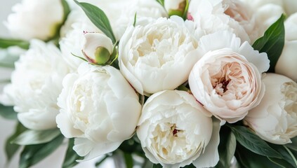 Obraz premium Elegant Bouquet of Creamy White Peonies