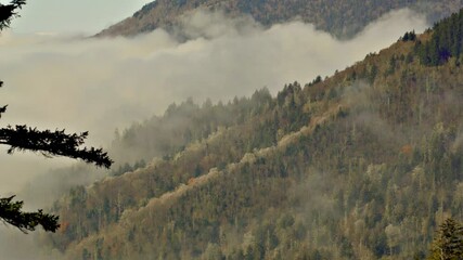 Freezing temperatures cause the fog in the mountain valley to leave rows of frost covered trees, some with autumn leaves.