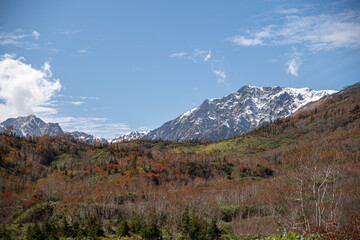 冠雪した白馬岳と紅葉する栂池高原をハイキングする