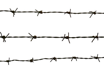 Barbed Wire on White Background Isolated for Security and Protection Concepts in Stock Photography