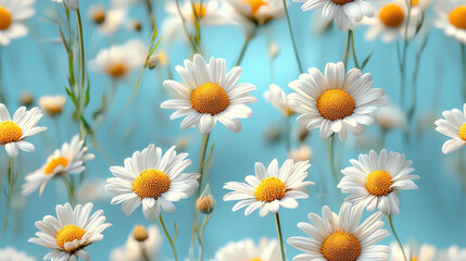 Fototapeta premium Small daisies pastel yellow and white against soft blue background, creating cheerful atmosphere