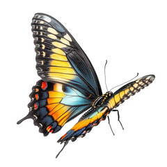 a beautifully detailed butterfly with vibrant colors. featuring intricate patterns on its wings the butterfly is depicted against a plain white background. emphasizing its striking appearance and natu