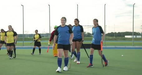 Female hockey team strategizing on field, preparing for competitive match